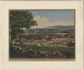 Stadt Steyr vom Dachsberg (um 1880)