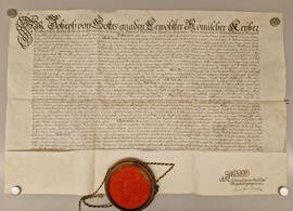 Kaiser Josef bestätigt, die Privilegien der Stadt Steyr (Wien, 1706)