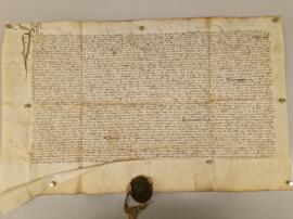 Vergleich zw. den Truenten Geschwistern wegen Teilung ihrer Güter (1500)