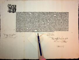 Mandat, der Regensburgerischen Ordnung nachzuleben (16.01.1528)