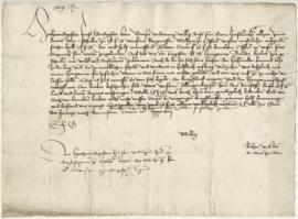 Vollmacht für den Ratsfreund Wolfgang Öfferl (1489 Sonntag nach Reminiscere)