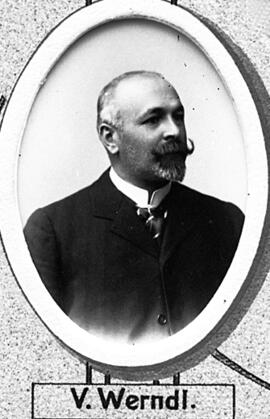 Werndl, Viktor