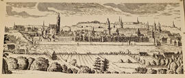 Rastervergrößerung der Stadtansicht nach Merian, 1649