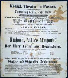 Umsonst, alles umsonst! (Passau, 17.9.1868)