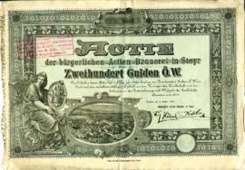 Aktien der Aktienbrauerei (1893)